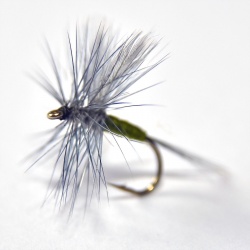 Blue winged Olive  Dry Fly